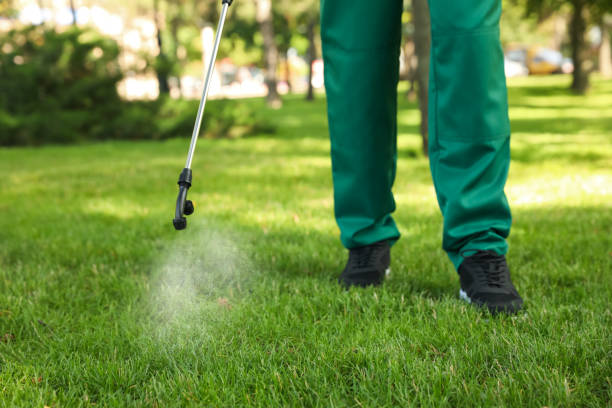 Best Residential Pest Control  in Newport, TN