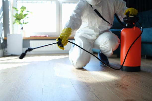 Best Flea Control Services  in Newport, TN