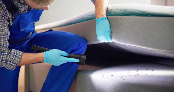 Best Flea Control Services  in Newport, TN