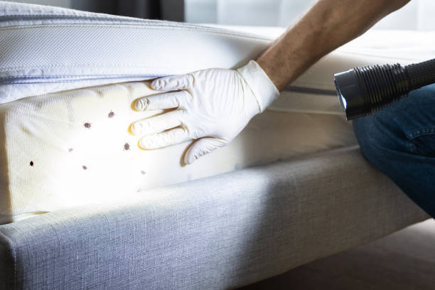 Best Pest Control Near Me  in Newport, TN