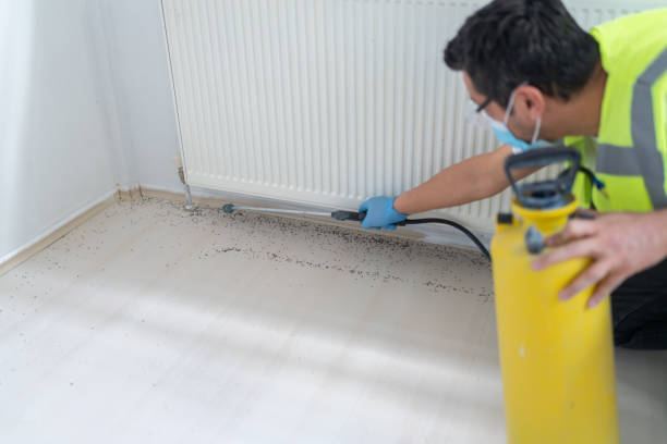 Best Best Pest Control Companies  in Newport, TN