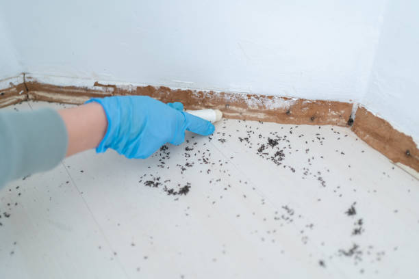 Best Pest Prevention Services  in Newport, TN