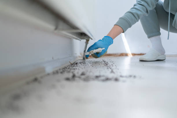 Best Emergency Pest Control  in Newport, TN